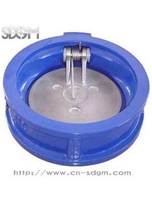 Cast-iron single-disc check valve