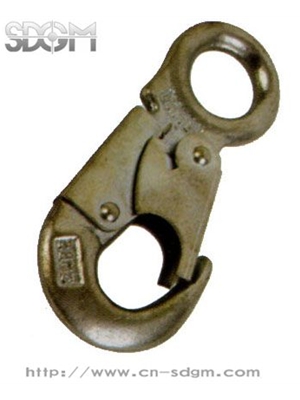 TWO LATCHES HOOK